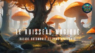 💧 Le ruisseau magique et ses secrets Ambiance automnale et sons apaisants ASMR watersounds [upl. by Newsom]