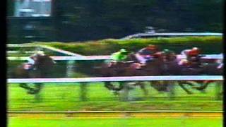 LA MER NZ 1979 Air New Zealand Stakes [upl. by Melodie436]