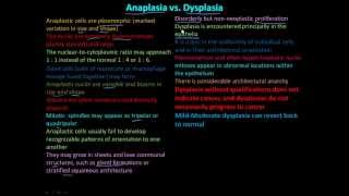 114P Anaplasia vs Dysplasia [upl. by Amaras841]