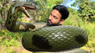 Giant Anaconda Snake Enwind Man amp Swallowed ALIVE   🐍 [upl. by Yrrah]