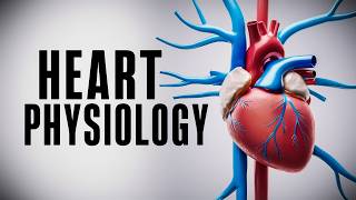 The Cardiac Cycle Simplified  What You Need to Know [upl. by Hubie]