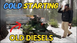 Cold Starting OLD DIESELS  Lister SR2 Ford 69 IDI Kubota L175  MORE [upl. by Eceerahs697]