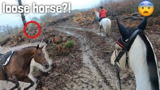 trying to help find a horse 😅  GO PRO HACK [upl. by Tarah]