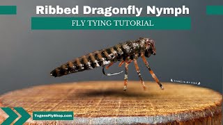 Ribbed Dragonfly Nymph  Fly Tying Tutorial [upl. by Ynaffik871]