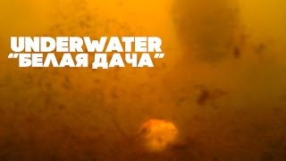 Карпфишинг Подводные съемки команды Carptoday waterwolf underwater camera  Трейлер [upl. by Senzer]