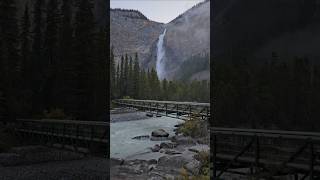 Early morning views in Yoho National Park nature hiking shorts [upl. by Jerz]