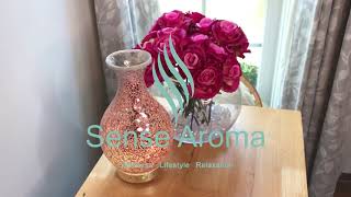 Sense Aroma  How To Use An Ultrasonic Diffuser [upl. by Eiramave]