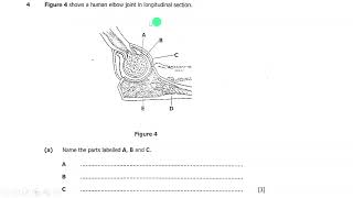 2021 Biology Paper 2 GCE for ECZ Exam [upl. by Vasos]