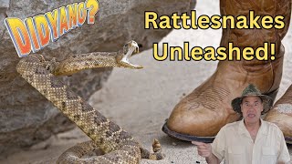 Slithering Wonders Amazing Facts About Snakes for Kids [upl. by Riess]