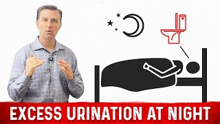 How to Fix Frequent Urination at Night Nocturia – Dr Berg [upl. by Oxley]