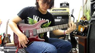 Schecter Damien Elite 6 Electric Guitar [upl. by Essy]