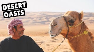 RIDING CAMELS IN THE OMAN DESERT [upl. by Dub]