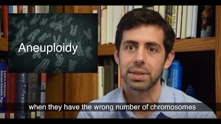 Relationship between incorrect chromosome number and cancer is reassessed [upl. by Shama]