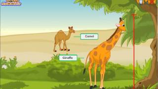 Every Type of Hoofed Mammal Explained Animal Science for Kids [upl. by Claudianus732]