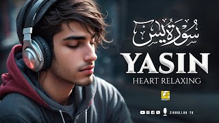 Surah Yasin Yaseen سورة يس  Relaxing Voice Soothing Quran Recitation  Zikrullah TV [upl. by Kauffman636]