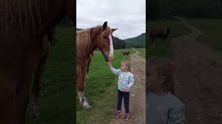 horse riding  Natural Horse Training horse horseriding youtube youtubeshorts ytshorts shorts [upl. by Loar]