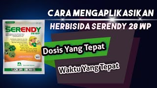 cara mengaplikasikan herbisida pra tumbuh serendy 28 WP [upl. by Gabriele38]