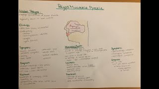 Nasal Polyps Mucocele Pyocele  etiology symptoms diagnosis treatment complications [upl. by Aeila443]