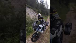 Husqvarna Norden 901 Expedition – artgerecht bewegt [upl. by Maclaine965]