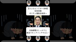 『【さよならトリガー条項】岸田首相、ガソリン補助金延長へ』に対する世間の反応 [upl. by Aeslehc152]