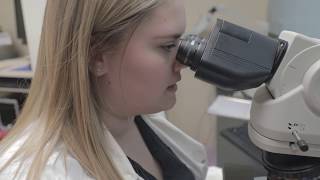 What does a Medical Laboratory Scientist do [upl. by Pry]