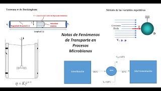 Fenómenos de Transporte en Procesos Microbianos EGELPLUS IQUIMunam [upl. by Aielam929]