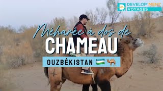 🇺🇿Promenade à dos de chameau dans les steppes d’Ouzbékistan [upl. by Eanod]