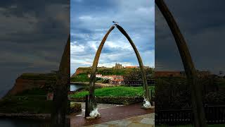 Seaside town of Whitby in the Northyorkshire already of England split by the River Esk Whitby [upl. by Nelon]