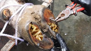 Cut Trim and Cleaning Screw with Nails WAS STUCK IN cows hoof [upl. by Aicylla]