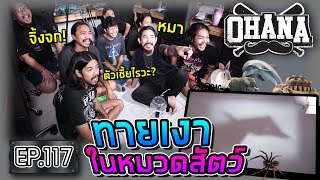 OHANA EP117  ทายเงาในหมวดสัตว์ [upl. by Ahteral744]