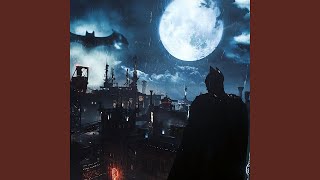 Batman meets Batman batman darkknight dc comics [upl. by Percival829]