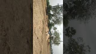 farm land sale at patancheru indresham [upl. by Llehcsreh441]