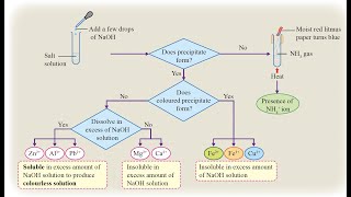 Chemistry KSSM Form 4 Chapter 6  cation and anion test [upl. by Sansen]