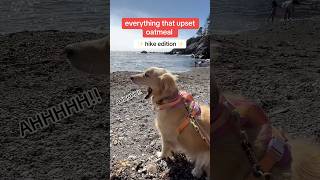 Hike Stillwater Cove in Jenner California dogadventure​⁠ hike sonomacountyregionalparks [upl. by Derriey]