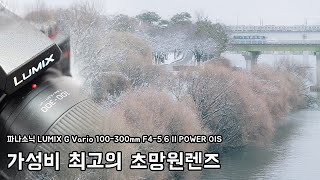 파나소닉 루믹스 G VARIO 100300mm F4056 II POWER OIS 가성비 최고의 초망원 렌즈 [upl. by Napier]