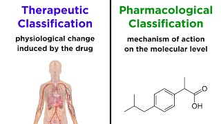 Categorizing Drugs Classes Names and Schedules [upl. by Elamaj]