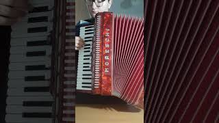 Laudato sii Cantico delle creature San Francesco dAssisi – Fisarmonica Accordion [upl. by Humbert]