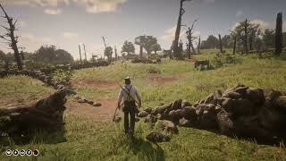 Red Dead Redemption 2 Ambience Hunting and cooking wild boar with Arthur in Bolger Glade [upl. by Burkhardt]