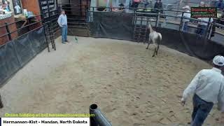 HermansonKist Fall Sale Mandan North Dakota [upl. by Meek734]