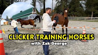 Dog Trainer Tries Horse Training ft World Renowned Dog Trainer zakgeorge [upl. by Ethyl177]