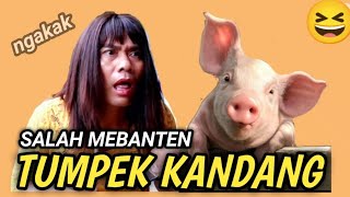 LAWAK BALI NGAKAK Edisi Tumpek Kandang [upl. by Noissap]