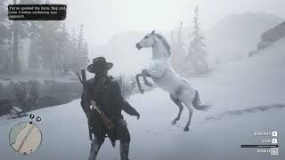 Red Dead Redemption 2 PC  Taming the White Arabian Horse Elite Handling [upl. by Llerol675]