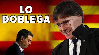 Puigdemont doblega a Sánchez [upl. by Timofei231]