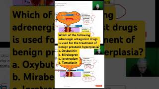 Adrenergic antagonist drug is used for the treatment of enlarged prostate [upl. by Hanni]