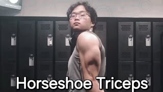 How I Grew Horseshoe Triceps [upl. by Dyrrej]