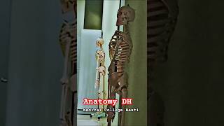 🏥Medical College Basti 🥰 Anatomy dissection hall DH🫀🦴neet nursing mbbs college basti india [upl. by Bonis]