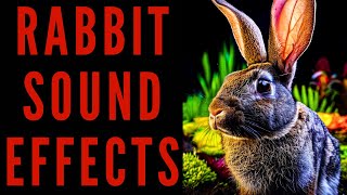 RABBIT SOUND EFFECTS  Rabbit Sound Bites [upl. by Charin806]