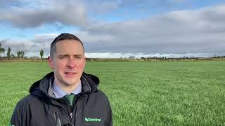 How to Be Effective when Reseeding Grassland [upl. by Derick416]