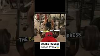 Barbells VS Dumbbells for Bench Press [upl. by Nirrak]