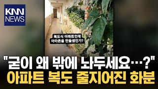 quot아파트 복도에 웬 화분이…quot 상식 밖 이웃의 행동 황당  KNN [upl. by Nevs]